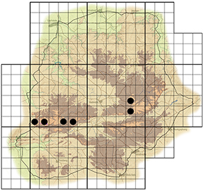 Vepris lanceolata Waterberg distribution